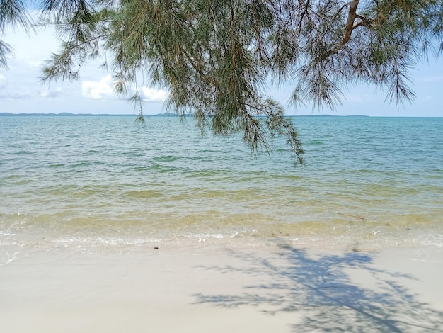 Foto praia e mar. bela praia tropical com as árvores. ilha belitung, indonésia.