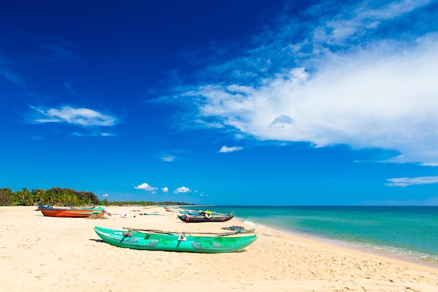 Praia e mar tropical