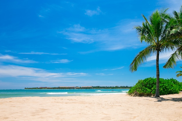 Praia e mar tropical