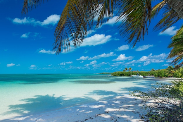 Praia e mar tropical