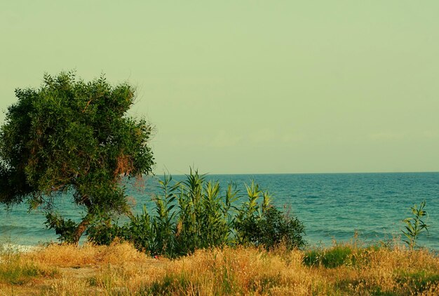 Praia e mar