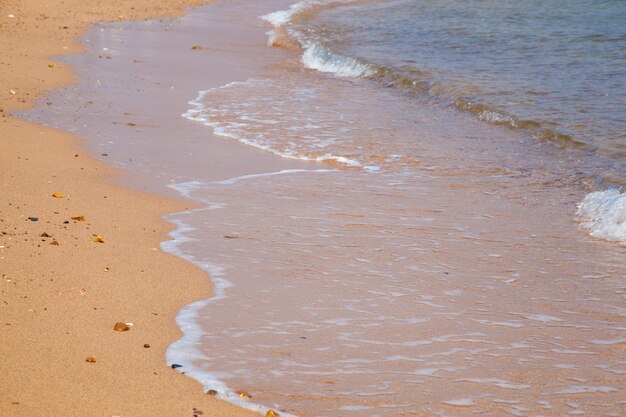 Praia e mar.