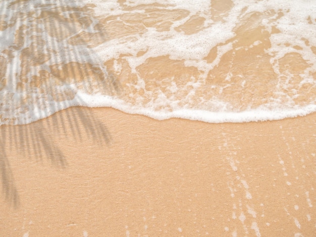 Praia e ondas brancas batendo em terra. Silhuetas borradas de folhas de palmeira ou coco à esquerda.