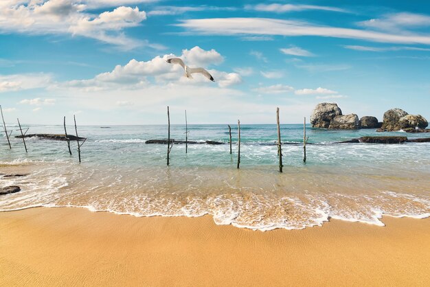 Praia e varas de pesca