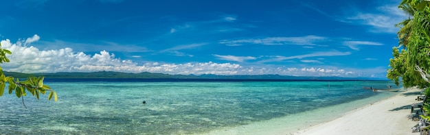 Praia em Kri Island Raja Ampat Indonésia Papua Ocidental Banner