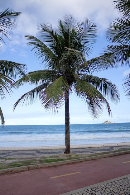 Praia em um dia de sol Coqueiros na calçada