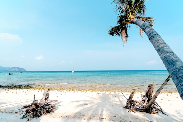 Praia em uma ilha tropical à tarde