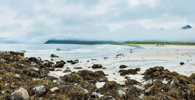 Praia enevoada e nublada no verão com areia branca e algas nas pedras em Ramberg