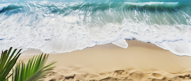 Praia ensolarada de areia com onda de água e folha de palmeira verde