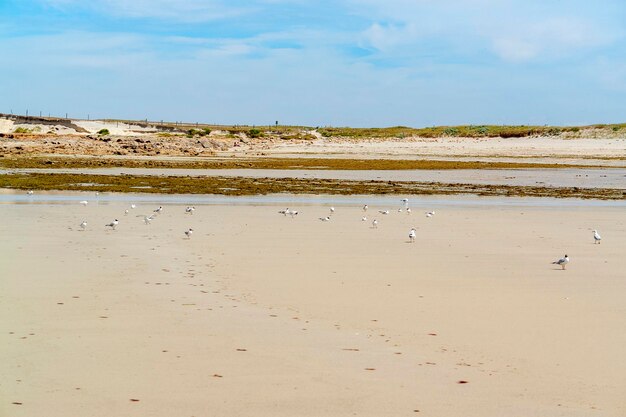 Praia ensolarada na Bretanha