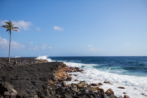 Praia havaiana incrível. Onda no oceano e na costa de lava vulcânica