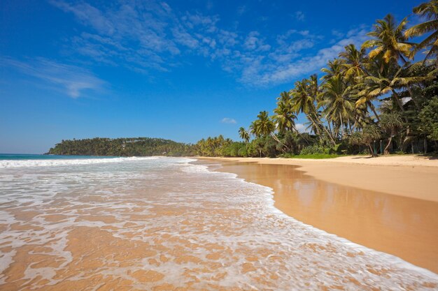 Praia idílica Sri Lanka