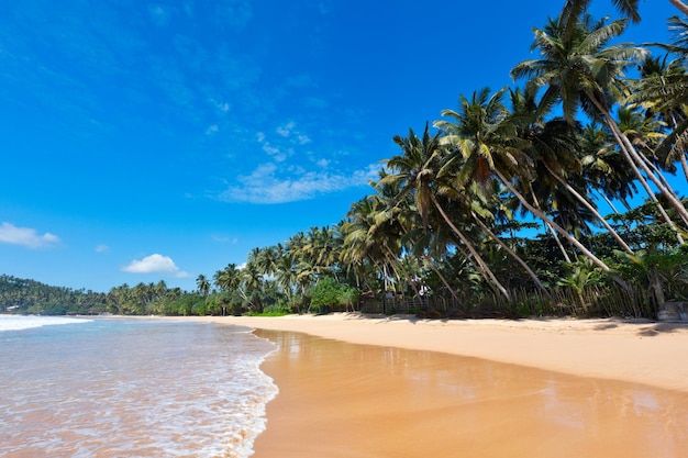 Praia idílica Sri Lanka