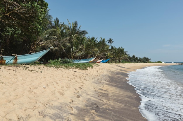 Praia idílica Sri Lanka