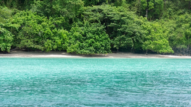 Praia idílico Krabi do paraíso, Tailândia, oceano na noite como o fundo do curso da natureza.