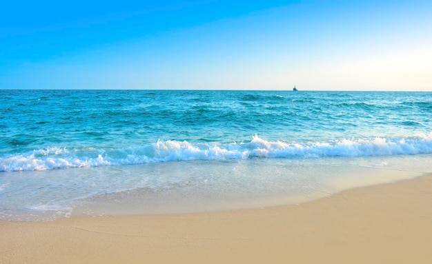 Praia mar areia oceano agua onda costa céu verão azul natureza tropical Ondas viagem período de férias panorama costa feriado sol horizonte Surf Seascape branco ao ar livre ilha