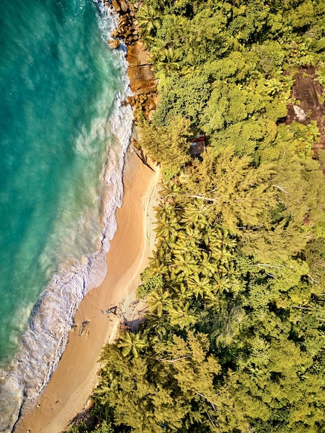 Praia na vista aérea de Seychelles