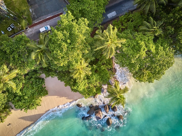 Praia na vista aérea de Seychelles