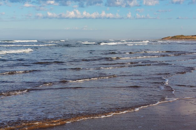 Praia oceânica