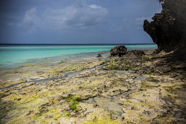 Praia paradisíaca com água de cor turquesa em Kizimkazi safari blue, Zanzibar, Tanzânia