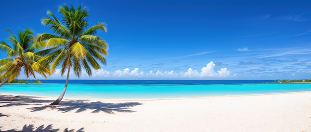 Praia paradisíaca de uma ilha tropical palmeiras areia branca água azul Famosa praia de pedra