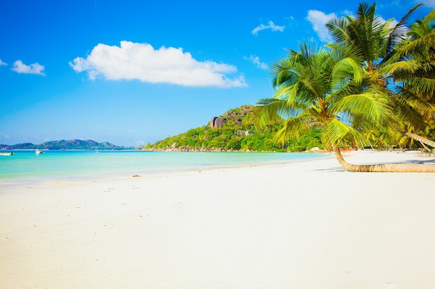 Praia paradisíaca tropical ensolarada com areia branca e palmeiras