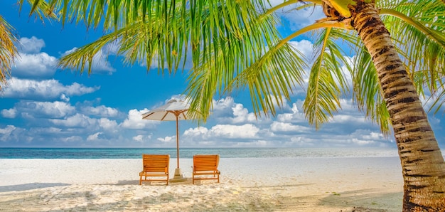 Praia paradisíaca tropical. Paraíso mar areia céu coco palmeiras viagens turismo amplo panorama fundo