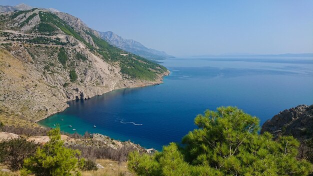 Praia rochosa, mar transparente azul na Ístria e árvore seca na costa croata