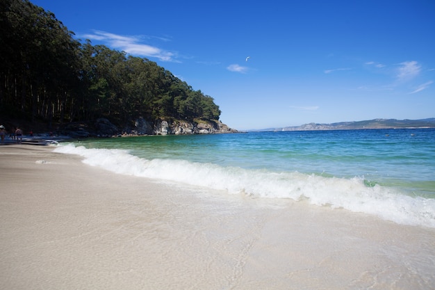 praia selvagem no verão