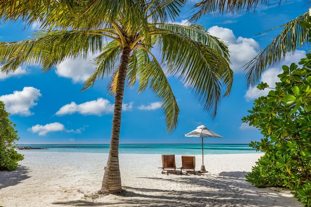 Praia tranquila, espreguiçadeiras de casal natureza tropical ilha, espreguiçadeiras, guarda-chuva sob folhas de palmeira.