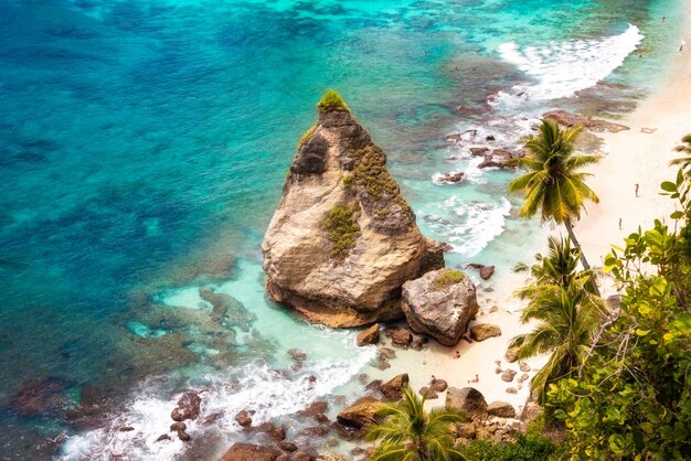 Praia tropical com areia branca e palmeiras destino de férias de praia