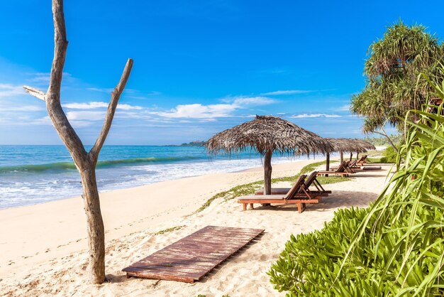 Praia tropical com camas e guarda-sóis