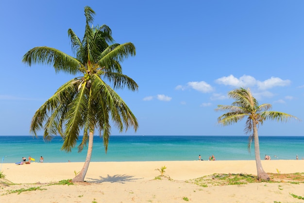 Praia tropical com coqueiros e céu azul na praia de Karon Phuket, Tailândia