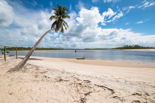 Praia tropical com coqueiros na ilha de Boipeba na Bahia, Brasil.