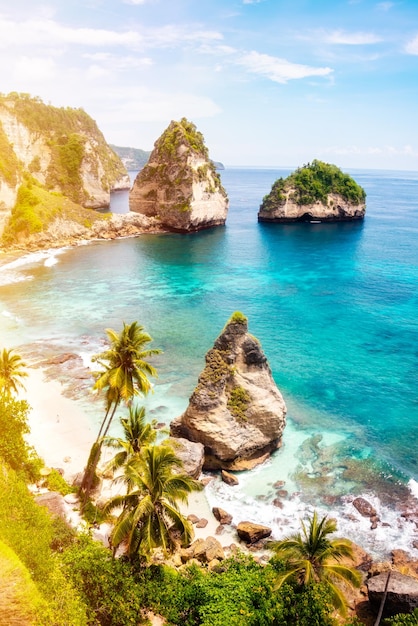 Praia tropical com destino de férias na praia de areia branca e palmeiras