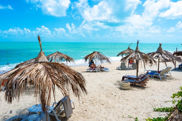 Praia tropical com galhos de palmeiras e espreguiçadeiras confortáveis.