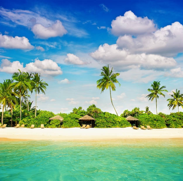 Praia tropical com palmeiras e um céu azul perfeito. paisagem da ilha paradisíaca