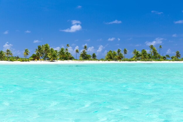 praia tropical com palmeiras na Polinésia Francesa