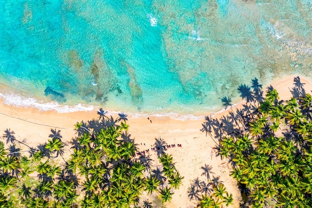 Praia tropical de verão com fundo de coqueiros. Fundo de férias idílico mar turquesa drone aéreo. República Dominicana.