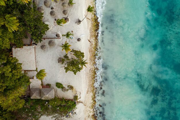 Praia tropical do caribe