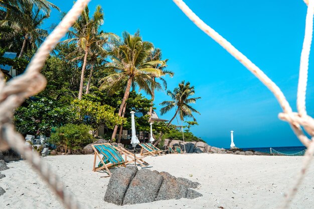 Praia tropical e coqueiro em koh tao