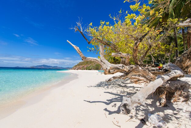 Praia tropical em Coron, Filipinas