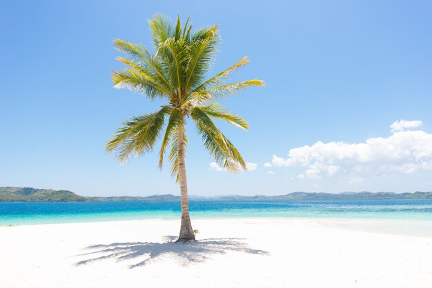 Praia tropical em coron, filipinas