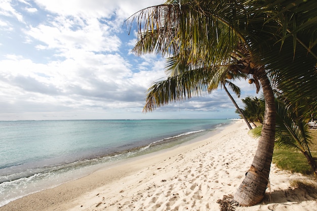 Praia tropical, Maurício