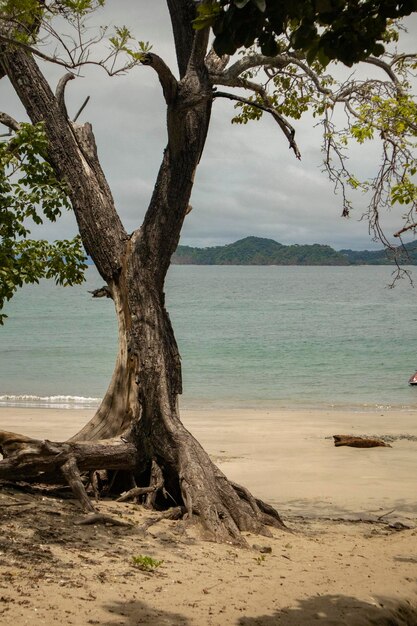 Praia tropical na Costa Rica