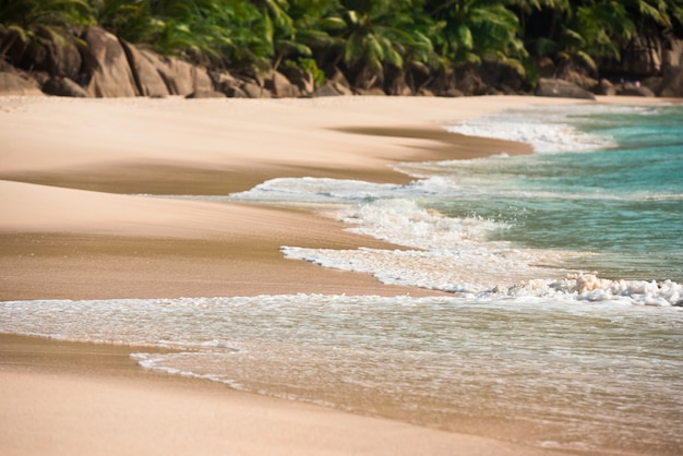 Foto praia tropical na ilha de mahé seychelles em um dia ensolarado