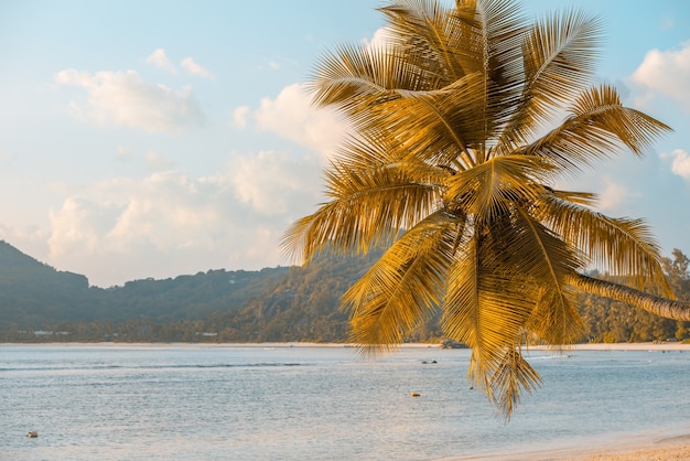 Foto praia tropical na ilha mahe, seychelles