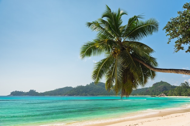 Praia tropical na ilha Mahe, Seychelles