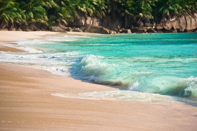 Praia tropical na ilha Mahe, Seychelles