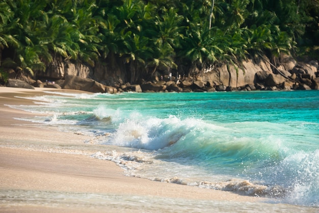 Praia tropical na ilha mahe, seychelles